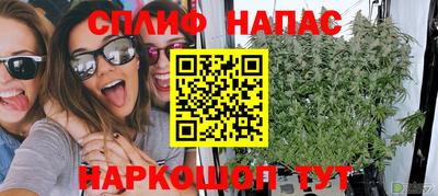 Альфа ПВП Кингисепп