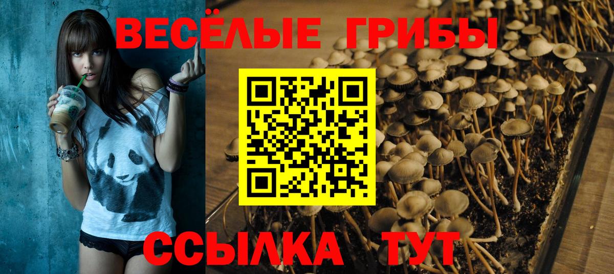 Галлюциногенные грибы MAGIC MUSHROOMS Кинель