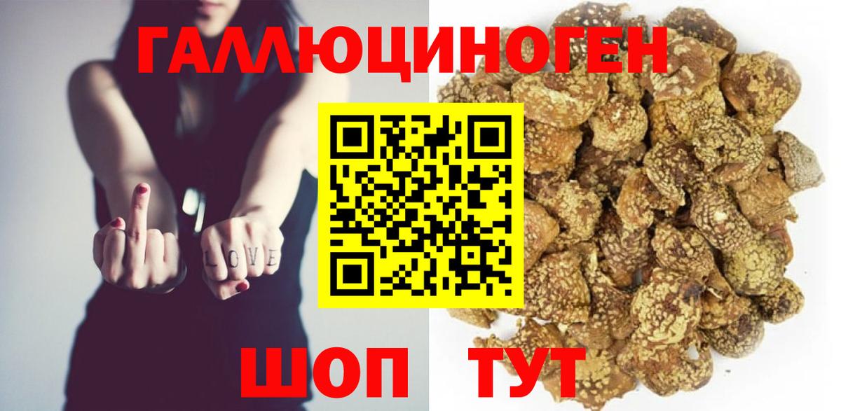 Кинель  Псилоцибиновые грибы Cubensis  Вход с VPN 