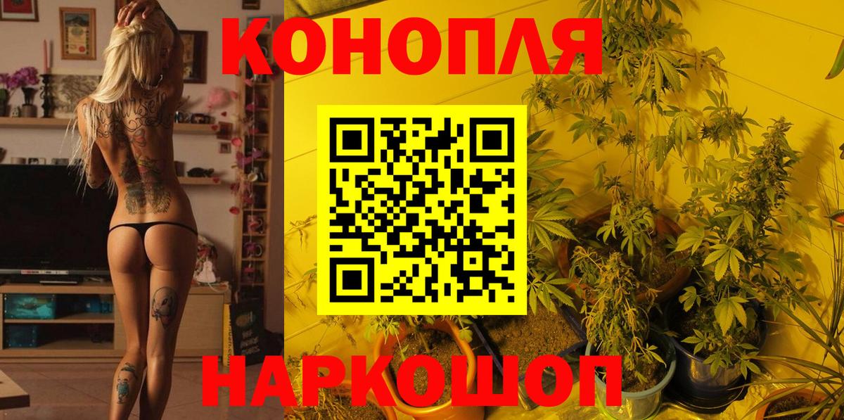 МАРИХУАНА ГИДРОПОН  МАРИХУАНА White Widow  Кинель  Канабис VHQ  Каннабис Ganja  Вход с VPN 
